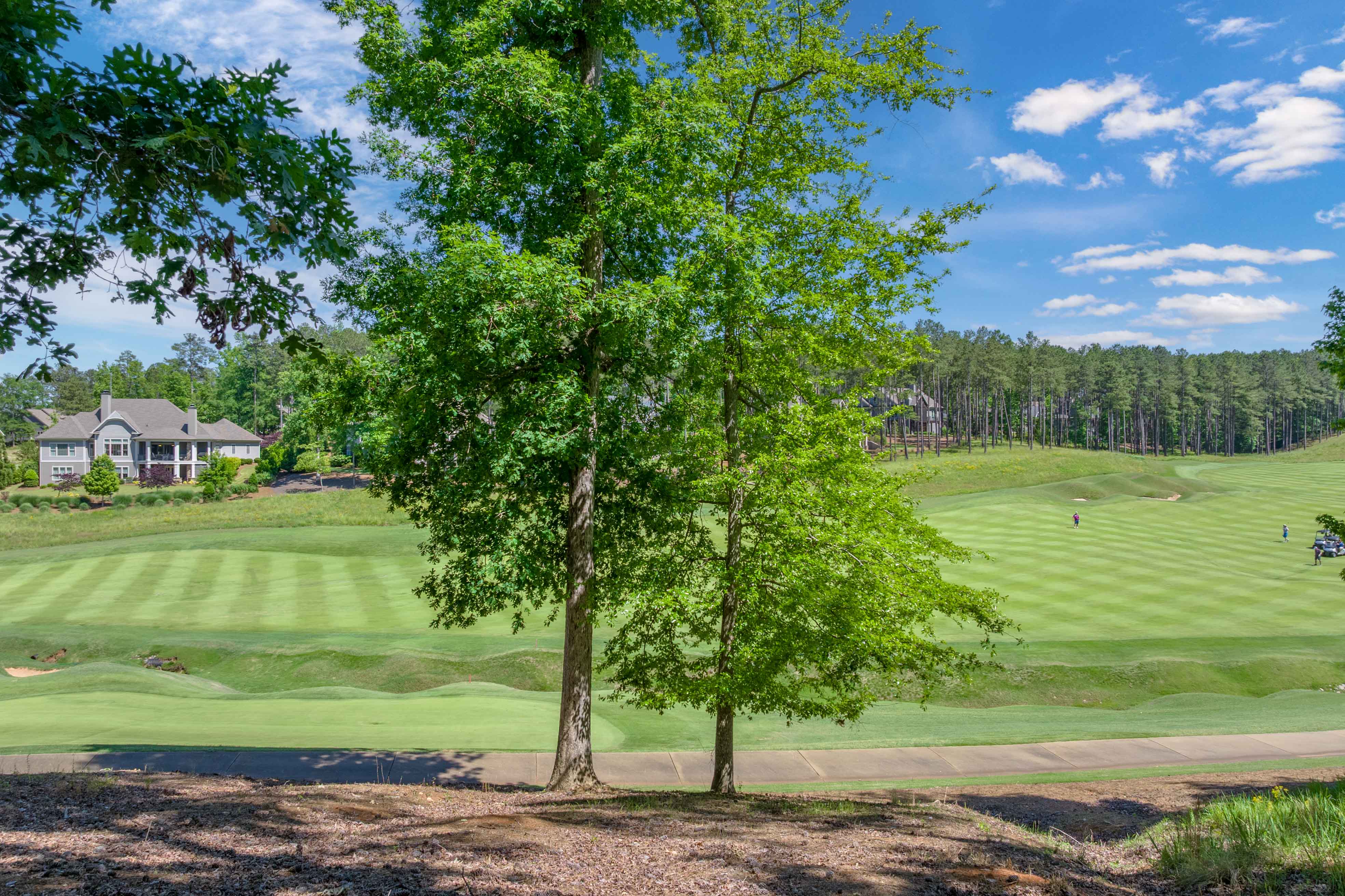 1040 Bunker Bend image 9